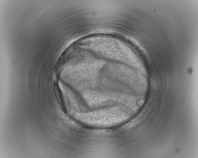 X0000093141025200710241338