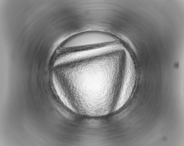 X0000093141027200710241338