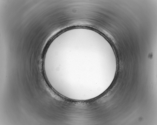 X0000093141029200710241338