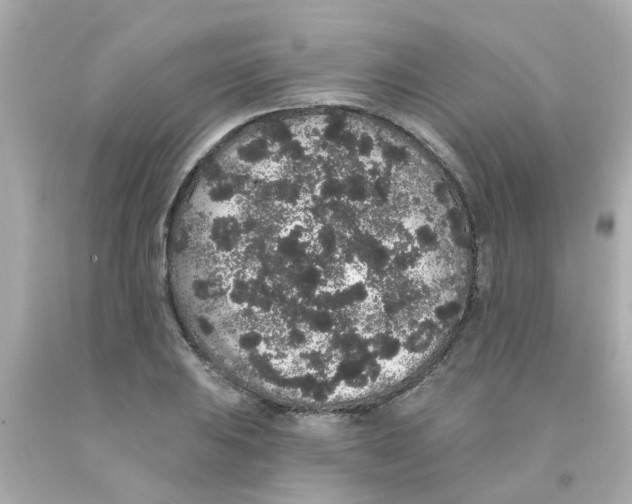 X0000093141031200710241338