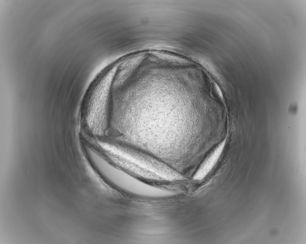 X0000093141032200710241338