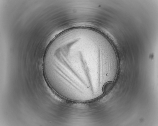 X0000093141033200710241338