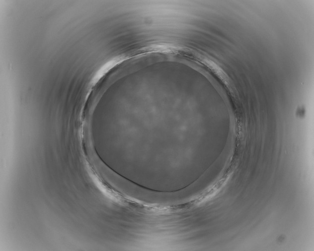 X0000093141034200710241338