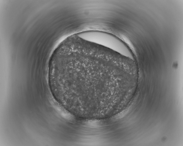 X0000093141035200710241338