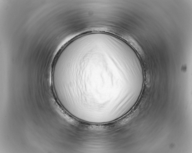 X0000093141036200710241338