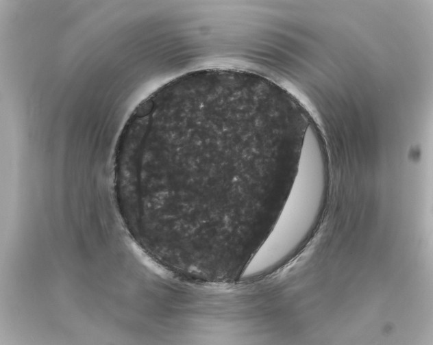 X0000093141037200710241338