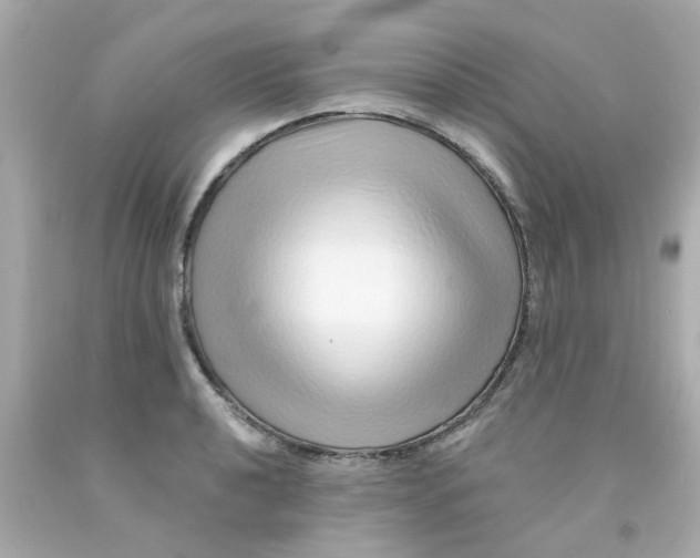 X0000093141040200710241338