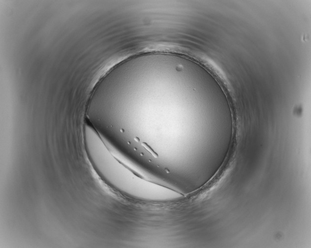 X0000093141041200710241338