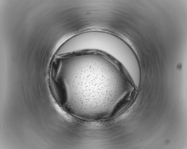 X0000093141042200710241338