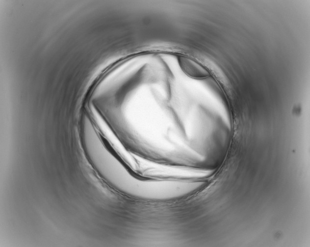 X0000093141043200710241338