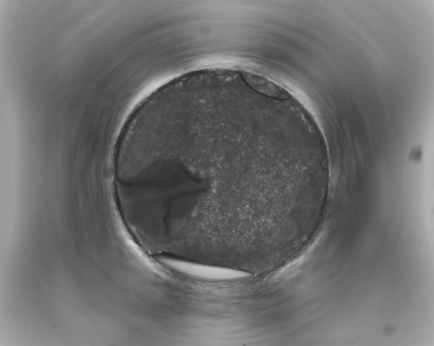 X0000093141045200710241338