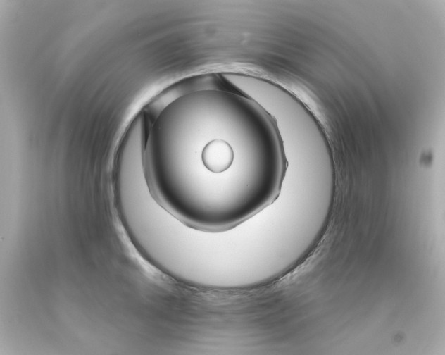 X0000093141046200710241338