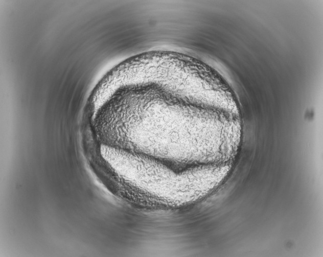 X0000093141048200710241338