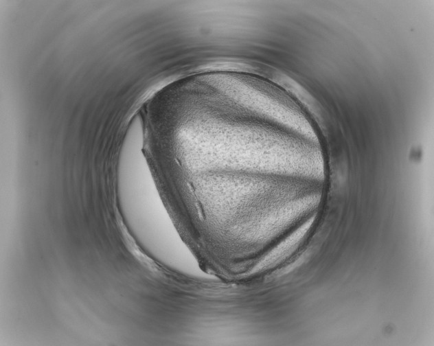 X0000093141049200710241338