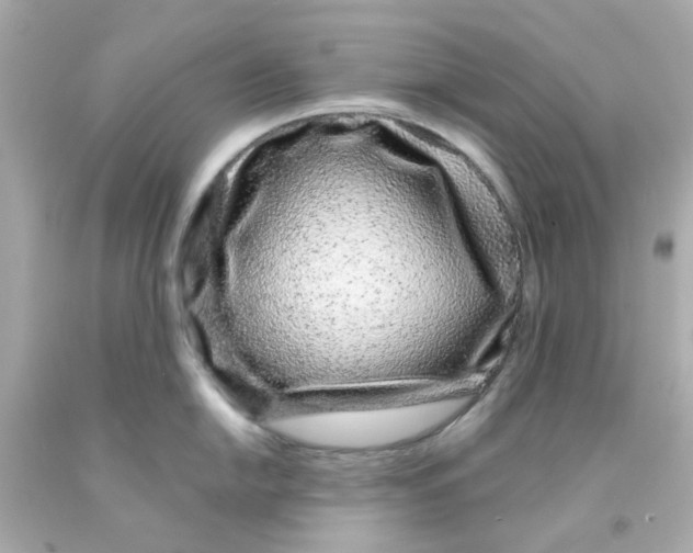 X0000093141054200710241338