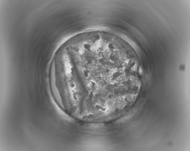 X0000093141055200710241338