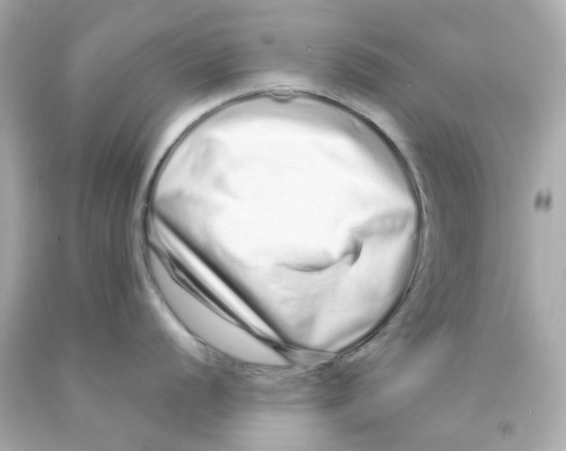 X0000093141056200710241338