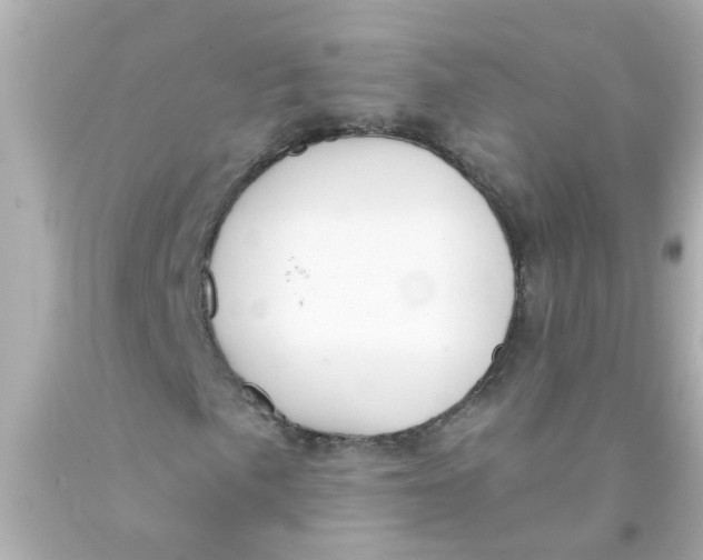 X0000093141057200710241338