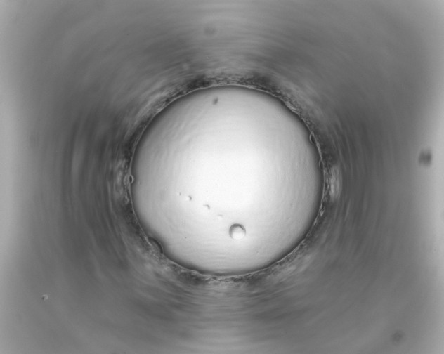 X0000093141059200710241338