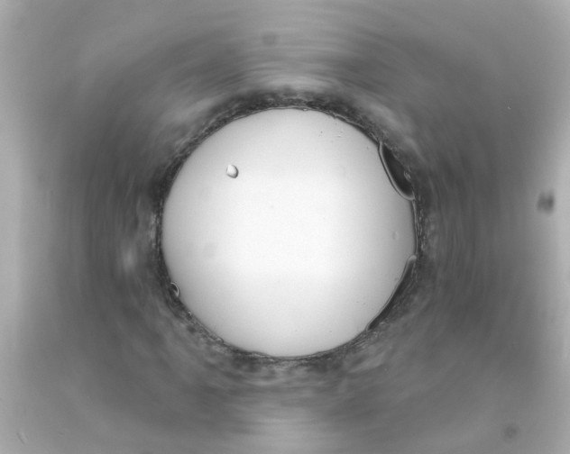 X0000093141061200710241338