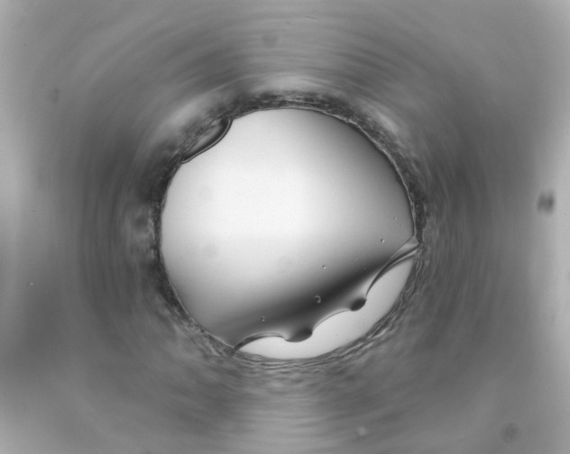 X0000093141062200710241338