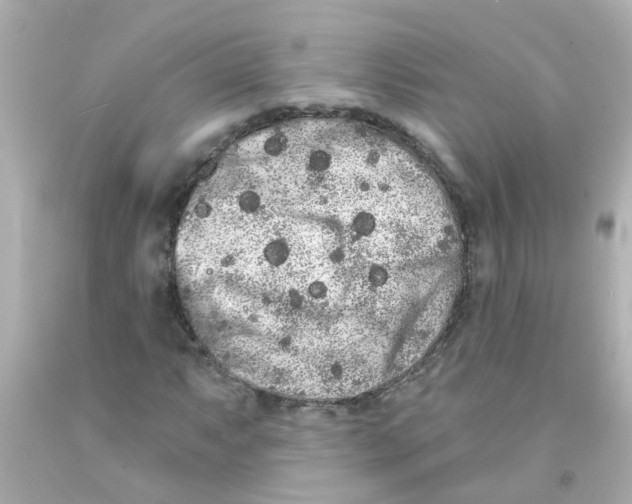 X0000093141063200710241338