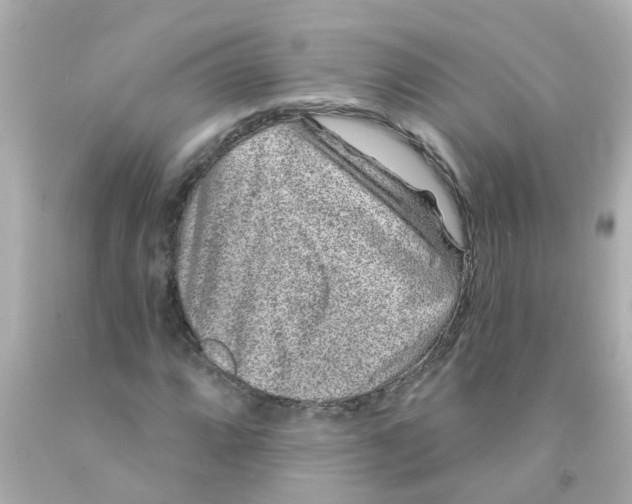 X0000093141064200710241338