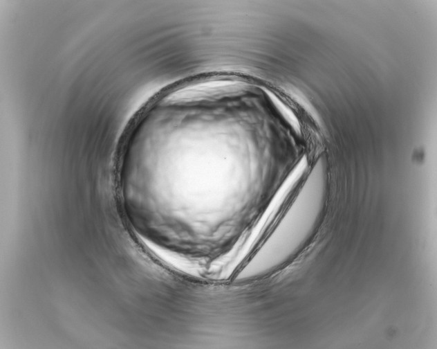 X0000093141068200710241338