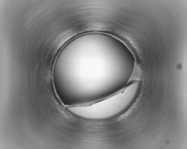 X0000093141073200710241338