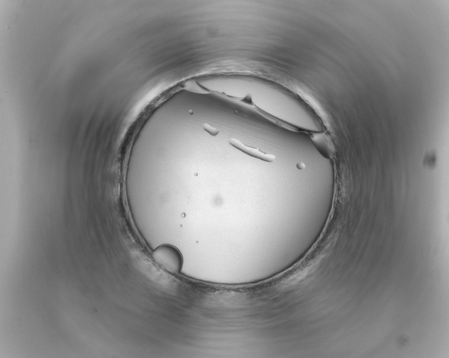 X0000093141075200710241338