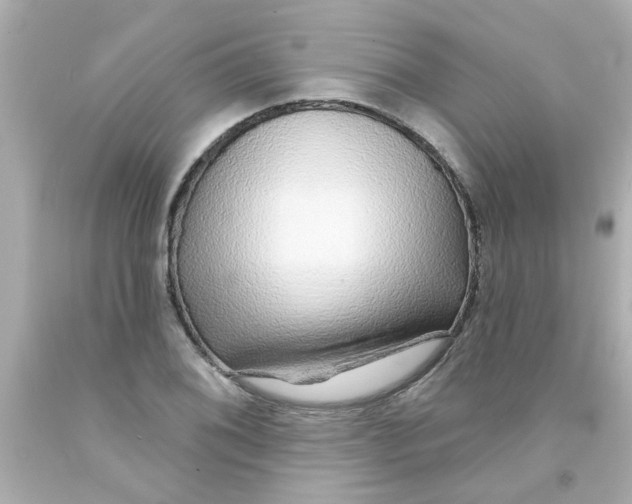 X0000093141076200710241338