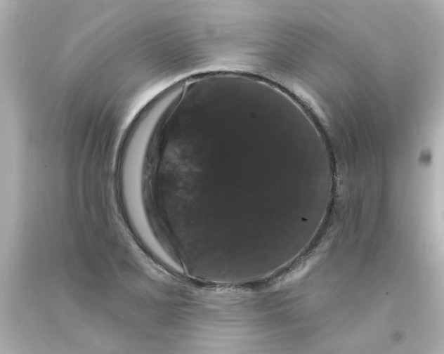 X0000093141077200710241338