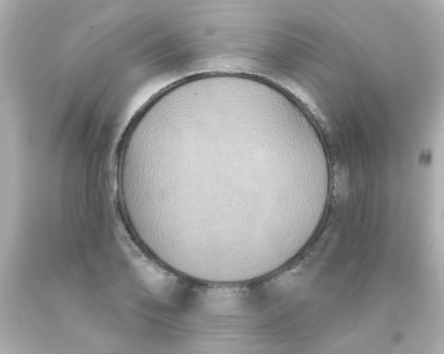 X0000093141078200710241338