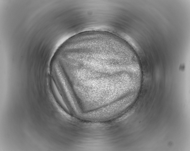 X0000093141079200710241338