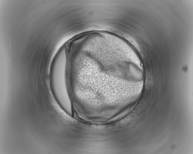 X0000093141080200710241338