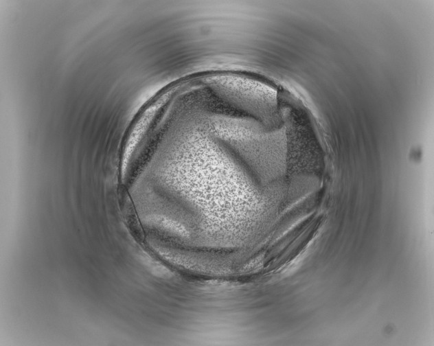 X0000093141081200710241338