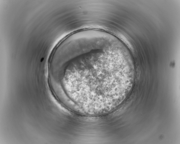 X0000093141084200710241338