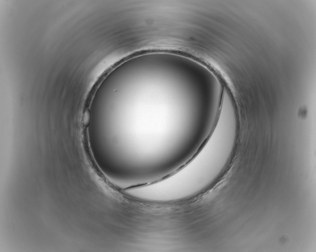 X0000093141085200710241338