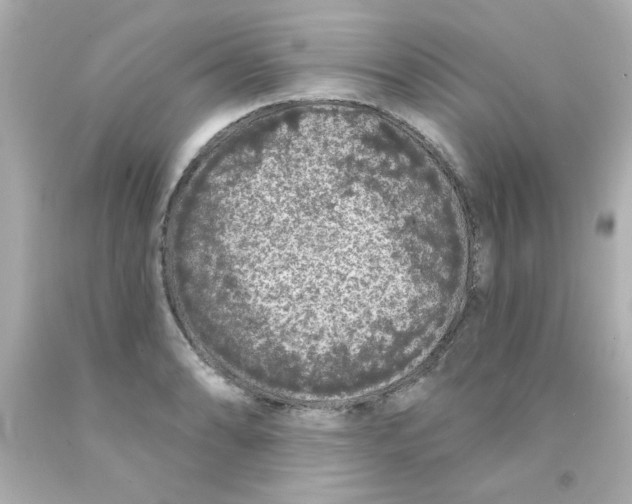 X0000093141086200710241338