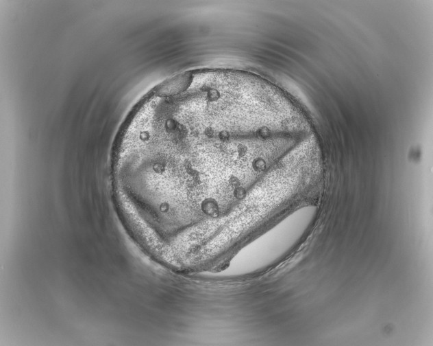 X0000093141087200710241338