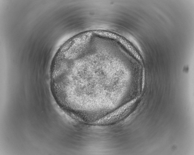 X0000093141088200710241337