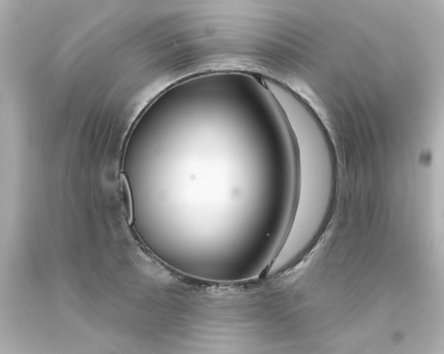 X0000093141089200710241337