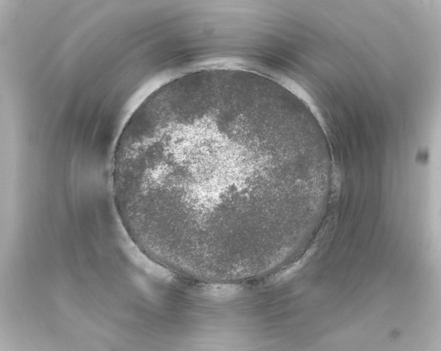 X0000093141090200710241337