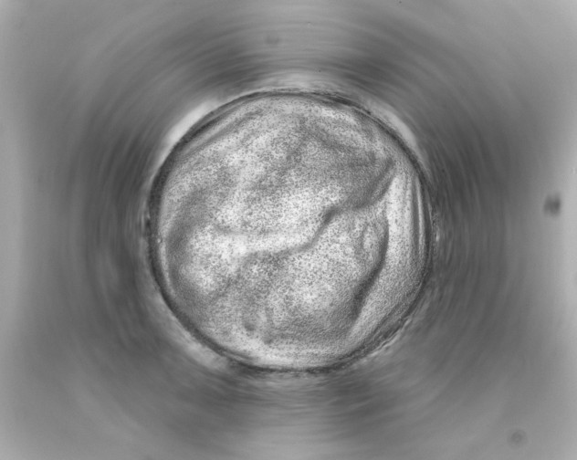 X0000093141091200710241337