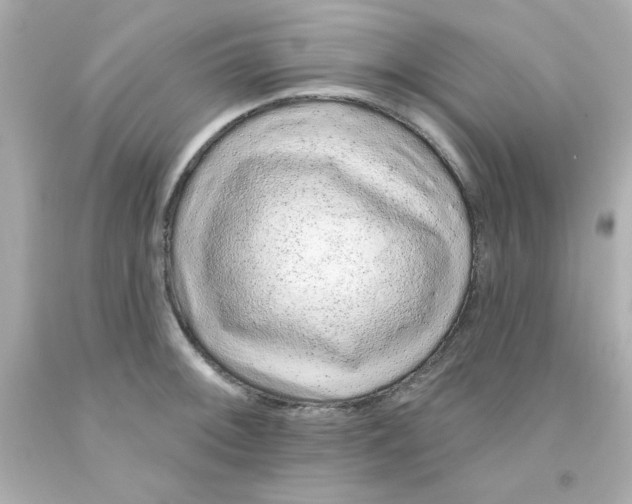 X0000093141092200710241337