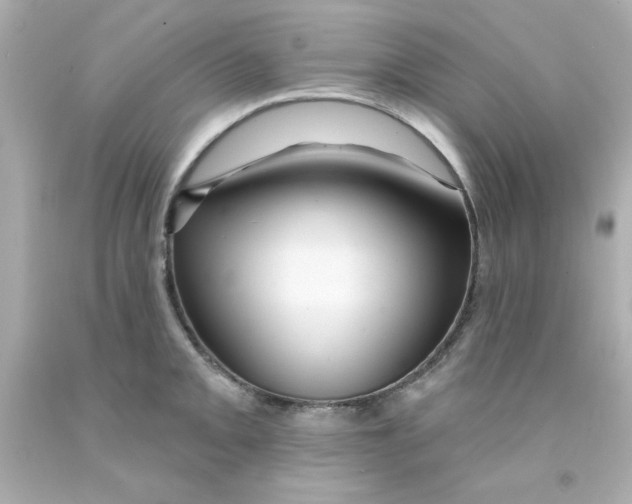 X0000093141093200710241337