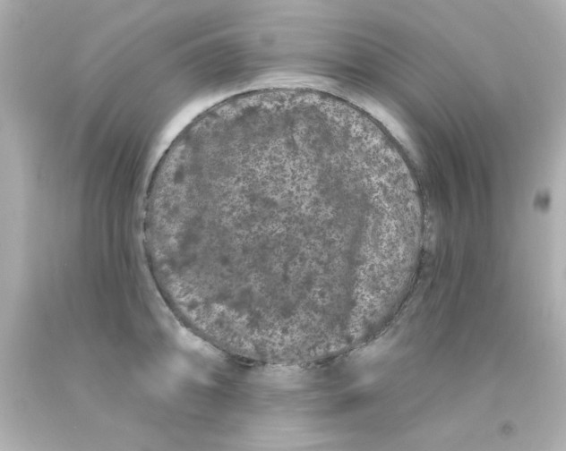 X0000093141094200710241337