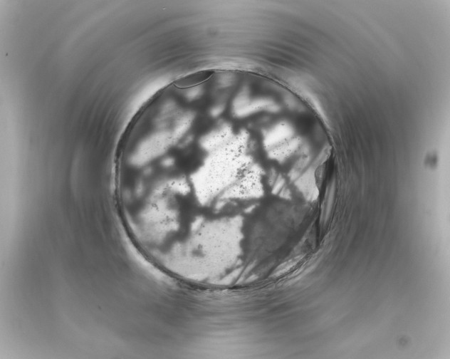 X0000093141095200710241337