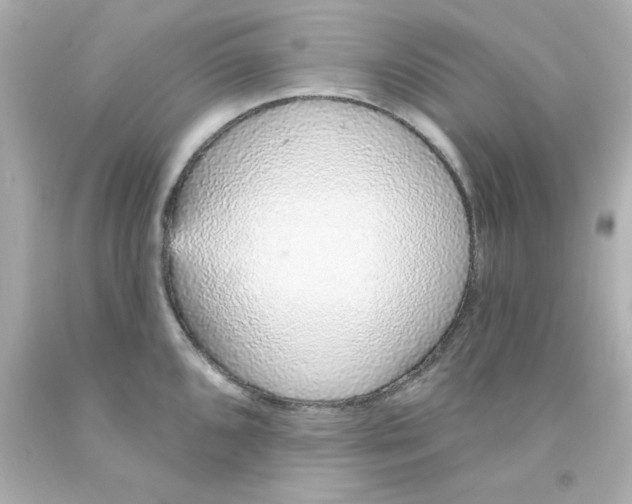 X0000093141096200710241337