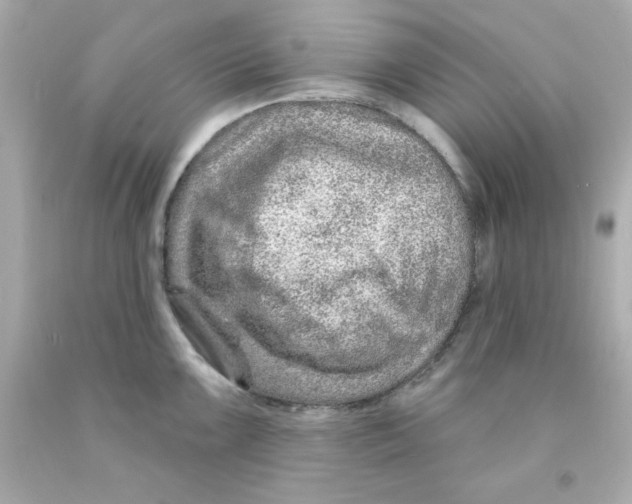 X0000093141099200710241337